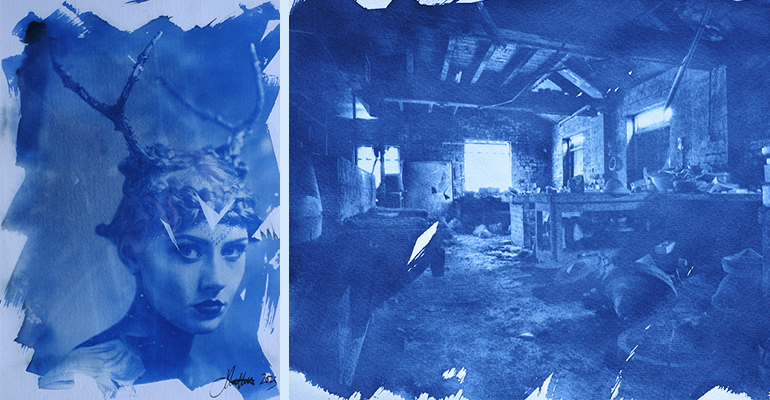 A picture of Cyanotype images