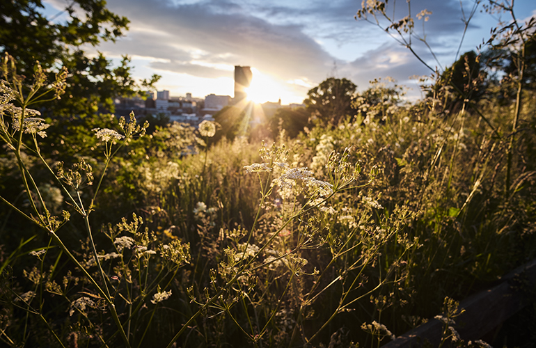 A view of Sheffield city centre on a long hot summer night