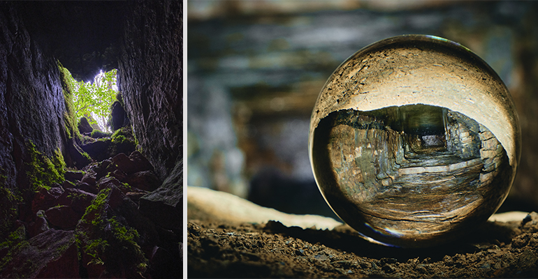 Plant life invades the dark space / Art and industry collide